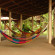 Pachira Lodge 