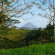 Arenal Volcano Inn 