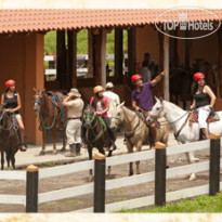 Borinquen Mountain Resort & Spa 