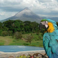 Arenal Lodge 