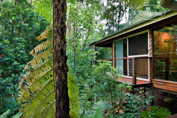 Фотографии отеля  Tree Houses of Montville 4*