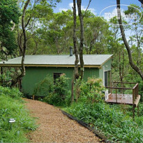 Tree Houses of Montville 