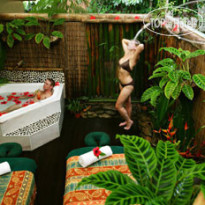 Daintree Eco Lodge & Spa 