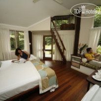 Ferntree Rainforest Lodge 