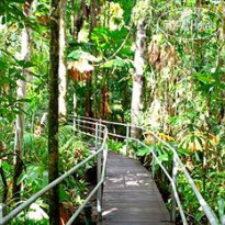 Daintree Wilderness Lodge 