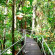 Daintree Wilderness Lodge 