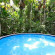 Daintree Wilderness Lodge 