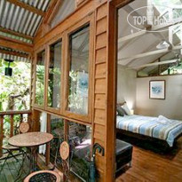 Daintree Wilderness Lodge 