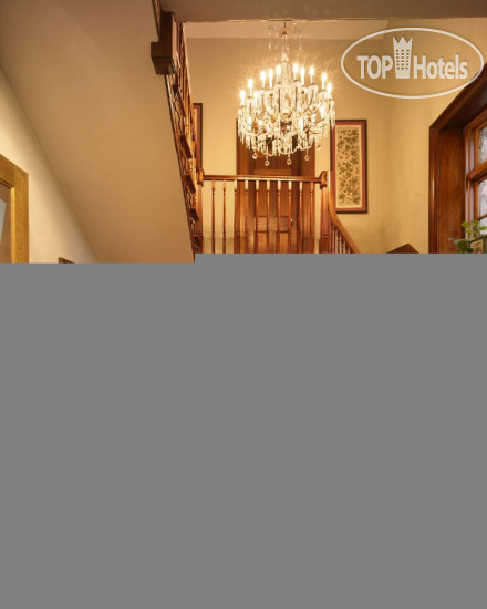 Новые добавленные фото туристов Islington 5*