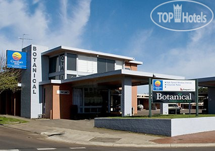 Фотографии отеля  Comfort Inn Botanical, Hamilton 3*