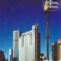 Swissotel Sydney Hotel 