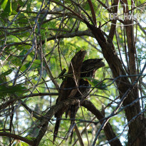 Sanctuary Palm Cove 