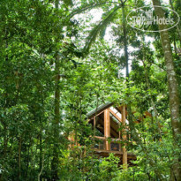 Fur 'n' Feathers Rainforest Tree Houses 