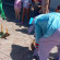 Roc Arenas Doradas 