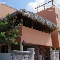 Villa Iguana 