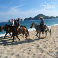 Raintree's Club Regina Los Cabos 