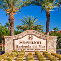 Sheraton Hacienda del Mar Golf & Spa Resort Los Cabos 5*