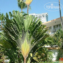 El Tropicano 