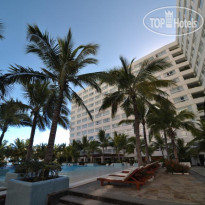 Grand Oasis Palm  