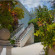 Tropical Escape 