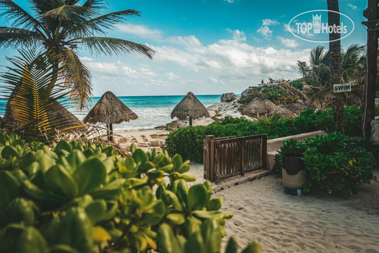 Фотографии отеля   Calaluna Tulum 3*