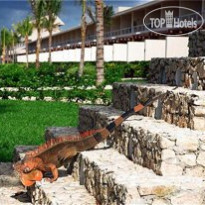 Presidente InterContinental Cozumel Resort & Spa 