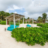 Orchid Beach House 