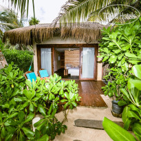 Orchid Beach House 