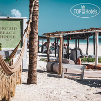 Orchid Beach House 