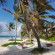The Beach Tulum Hotel 