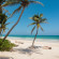 The Beach Tulum Hotel 