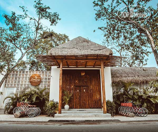 Zenses Wellness & Yoga Resort