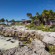 Mi Amor Boutique Hotel - Adults Only 