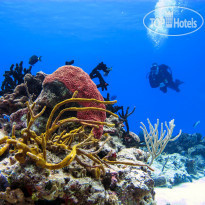 Cozumel Palace 