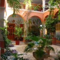 Casa San Angel Сад