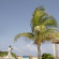 Viceroy Riviera Maya, a Luxury Villa Resort 