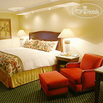 Torreon Marriott Hotel 