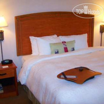 Hampton Inn by Hilton Torreon - Aeropuerto Galerias 