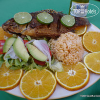 Concha Dorada 