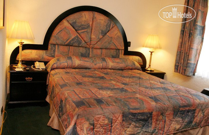 Новые добавленные фото туристов Hacienda del Rio 4*