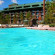 Disney Wilderness Lodge 4*