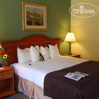 Best Western Plus Colony Inn 