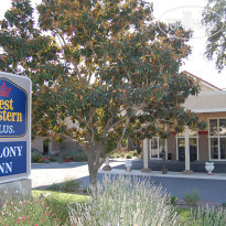 Best Western Plus Colony Inn 