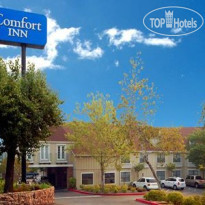 Comfort Inn Central 