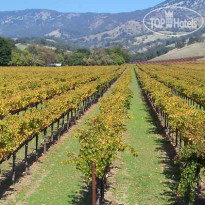 Courtyard by Marriott Fairfield Napa Valley