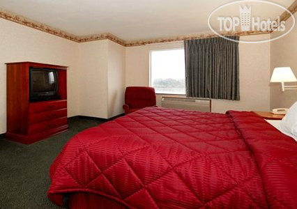 Новые добавленные фото туристов Comfort Inn & Suites Redwood Country 2*