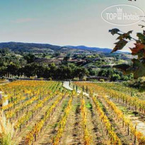 Embassy Suites Temecula Valley Wine Country 