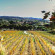 Embassy Suites Temecula Valley Wine Country 