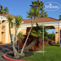 Best Western Palm Court Inn 2*