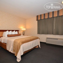 Best Western Plus Executive Inn & Suites 